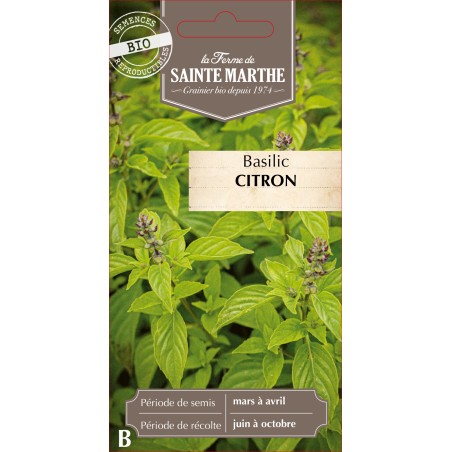 BASILIC CITRON BIO