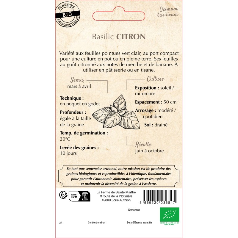 BASILIC CITRON BIO
