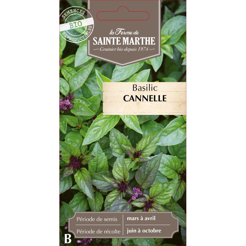 BASILIC CANNELLE BIO