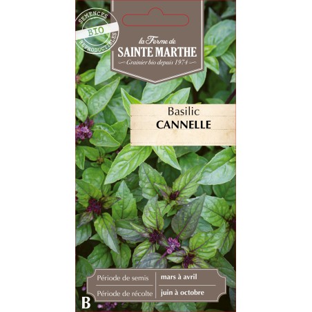 BASILIC CANNELLE BIO