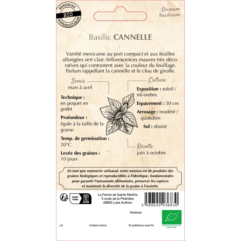 BASILIC CANNELLE BIO