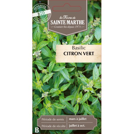 BASILIC CITRON VERT BIO