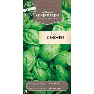 BASILIC GENOVESE BIO