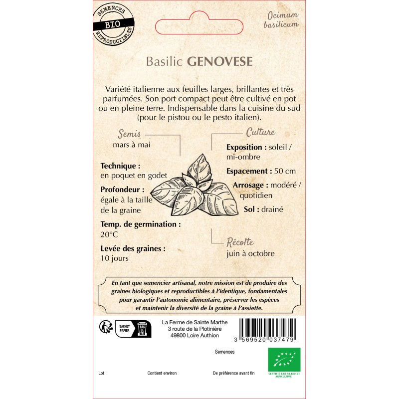 BASILIC GENOVESE BIO
