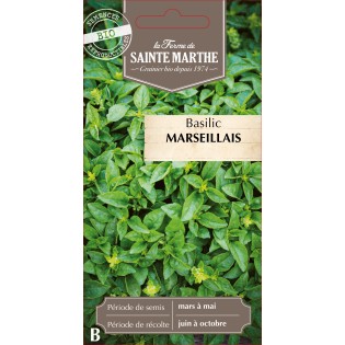 BASILIC MARSEILLAIS BIO