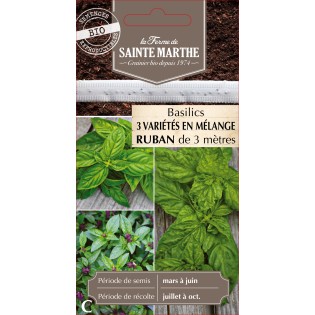 RUBAN MELANGE BASILIC BIO