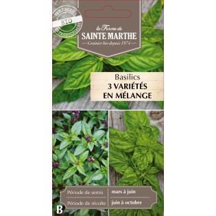 BASILICS EN MELANGE BIO