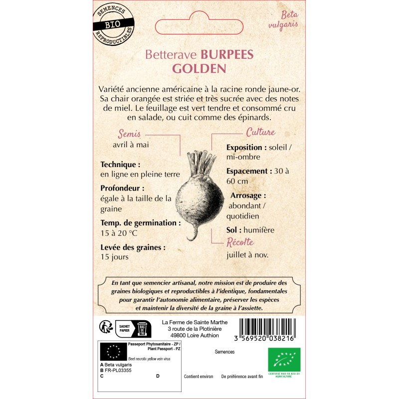 BETTERAVE POTAGERE BURPEES GOLDEN BIO