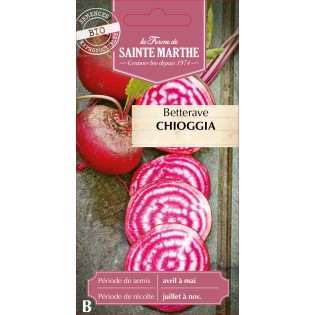 BETTERAVE POTAGERE CHIOGGIA BIO
