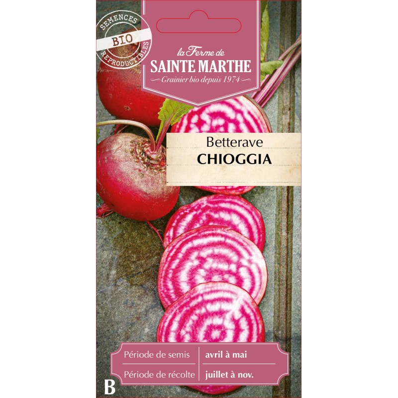 BETTERAVE POTAGERE CHIOGGIA BIO