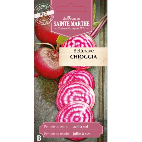 BETTERAVE POTAGERE CHIOGGIA BIO