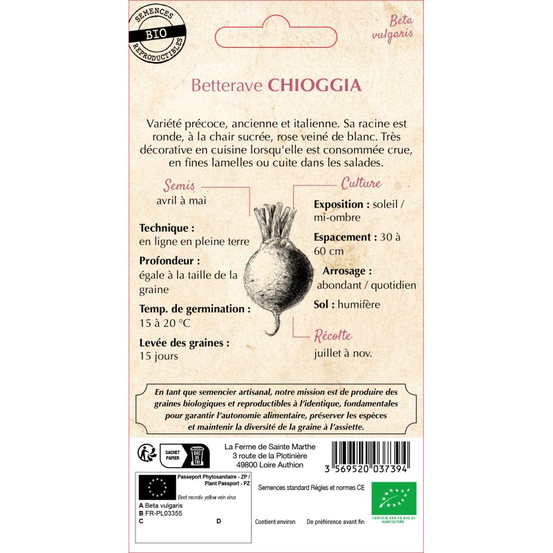 BETTERAVE POTAGERE CHIOGGIA BIO