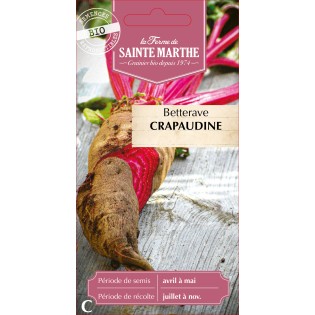 BETTERAVE POTAGERE CRAPAUDINE BIO