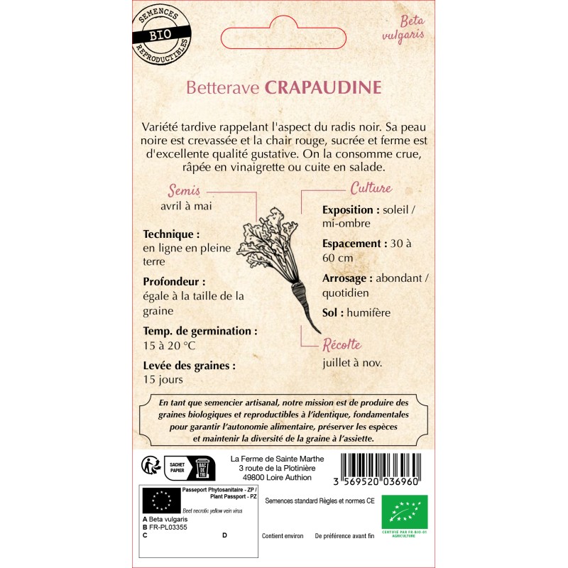 BETTERAVE POTAGERE CRAPAUDINE BIO