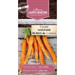 RUBAN CAROTTE NANTAISE AMELIOREE BIO