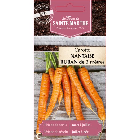RUBAN CAROTTE NANTAISE AMELIOREE BIO