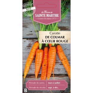 CAROTTE POTAGERE DE COLMAR BIO