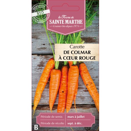 CAROTTE POTAGERE DE COLMAR BIO