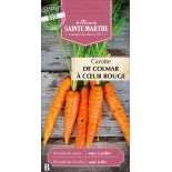 CAROTTE POTAGERE DE COLMAR BIO