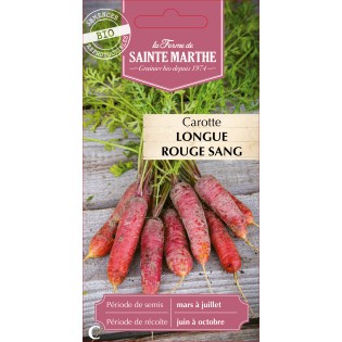 CAROTTE LONGUE ROUGE SANG BIO