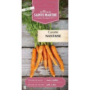 CAROTTE POTAGERE NANTAISE AME BIO