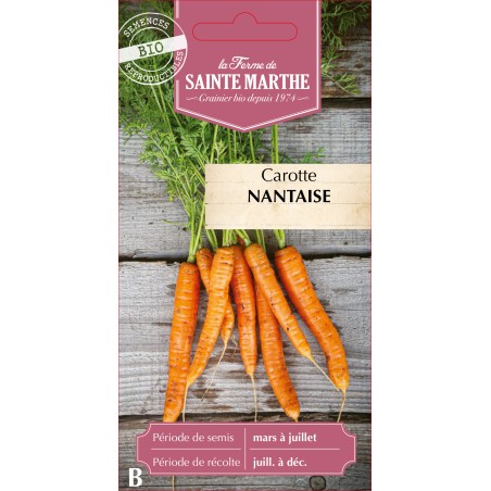 CAROTTE POTAGERE NANTAISE AME BIO