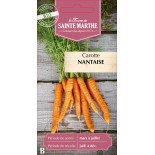 CAROTTE POTAGERE NANTAISE AME BIO