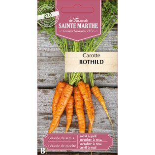 CAROTTE POTAGERE ROTHILD BIO