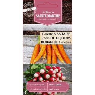 RUBAN CAROT NANTAISE RADIS 18 JOURS BIO
