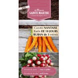 RUBAN CAROT NANTAISE RADIS 18 JOURS BIO