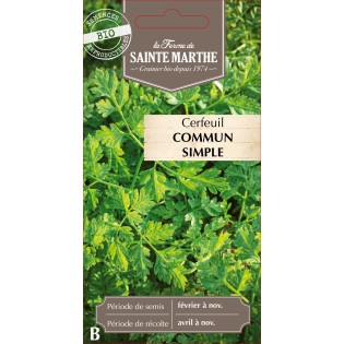 CERFEUIL COMMUN BIO