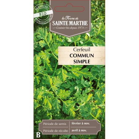 CERFEUIL COMMUN BIO