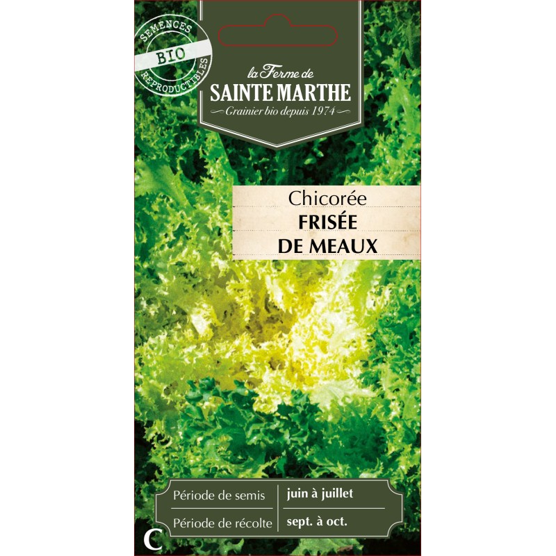 CHICOREE FRISEE DE MEAUX BIO