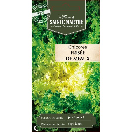 CHICOREE FRISEE DE MEAUX BIO