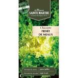 CHICOREE FRISEE DE MEAUX BIO