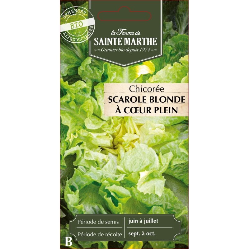 CHICOREE SCAROLE BLONDE A COEUR BIO
