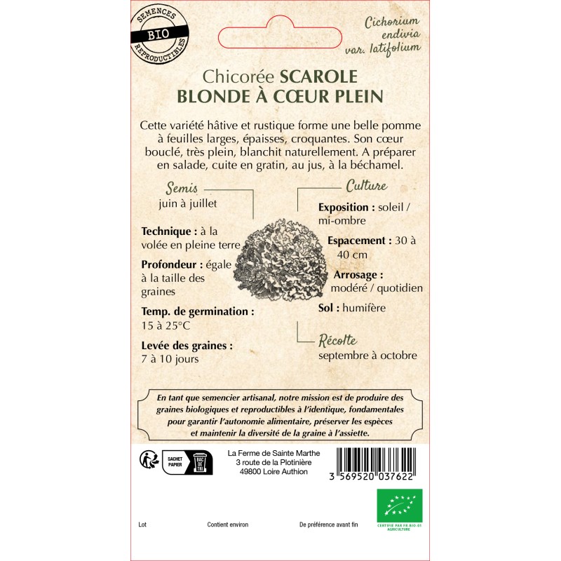 CHICOREE SCAROLE BLONDE A COEUR BIO