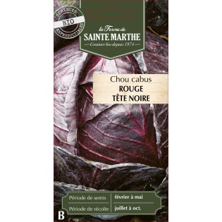 CHOU CABUS ROUGE TETE NOIRE 3 BIO