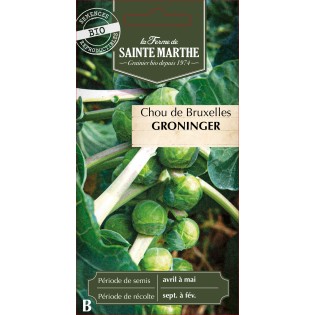 CHOU DE BRUXELLES GRONINGER BIO