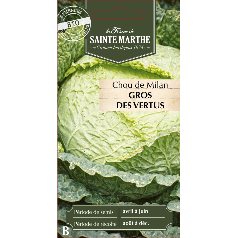 CHOU MILAN GROS DES VERTUS BIO