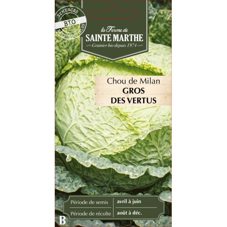 CHOU MILAN GROS DES VERTUS BIO