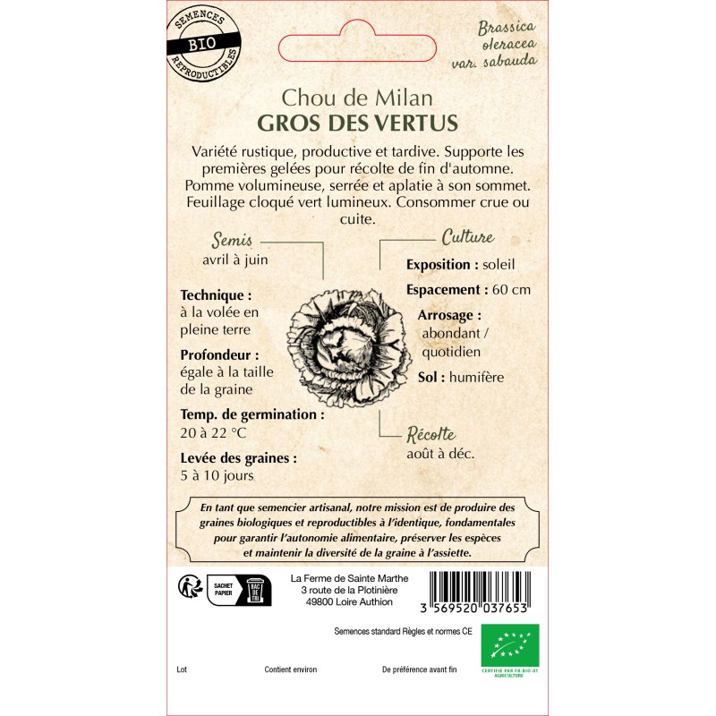 CHOU MILAN GROS DES VERTUS BIO