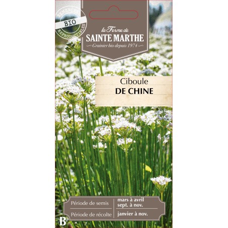 CIBOULE DE CHINE BIO