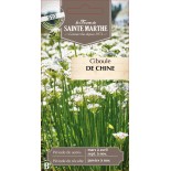 CIBOULE DE CHINE BIO