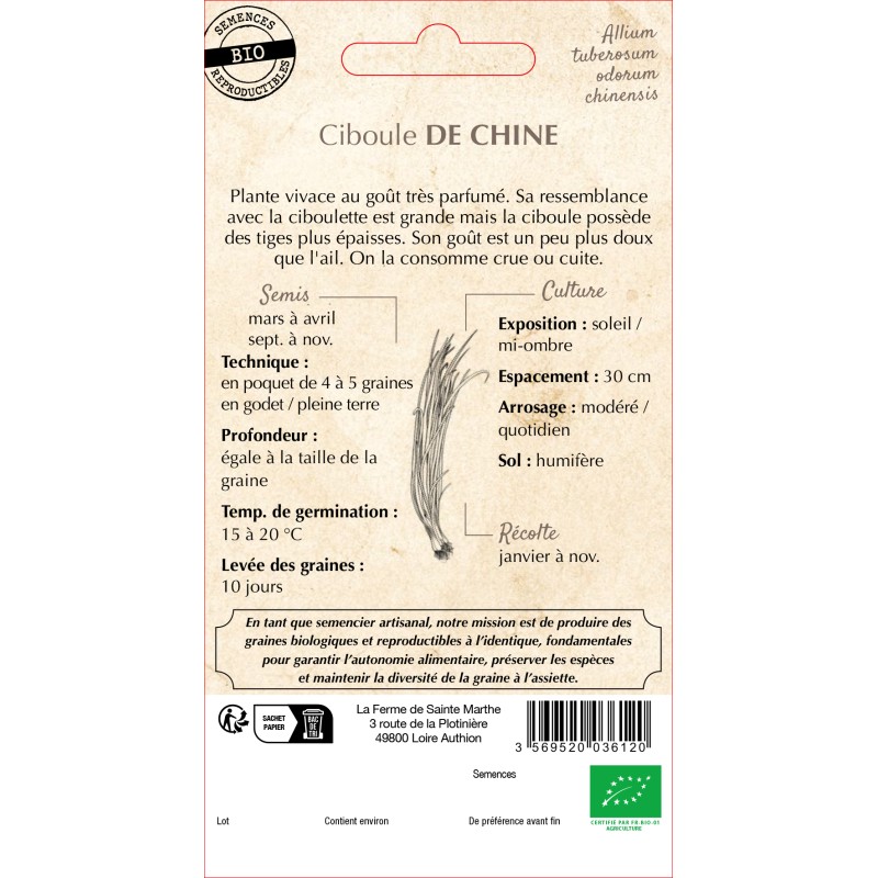 CIBOULE DE CHINE BIO