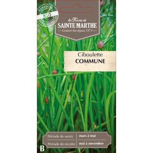 CIBOULETTE COMMUNE BIO