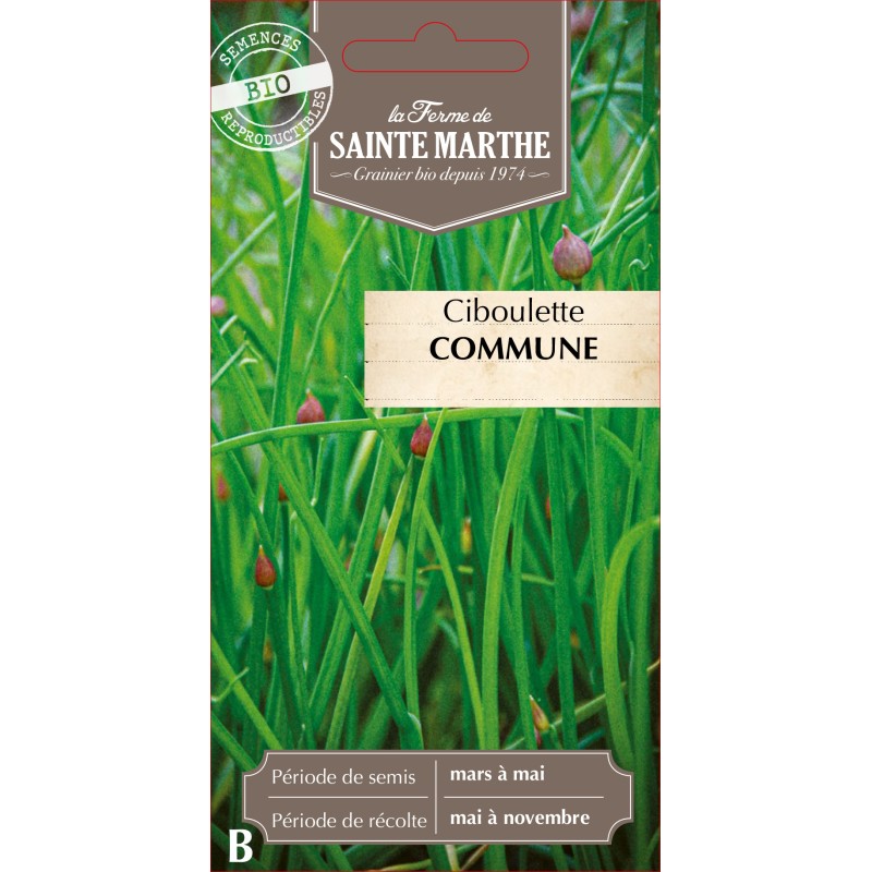 CIBOULETTE COMMUNE BIO