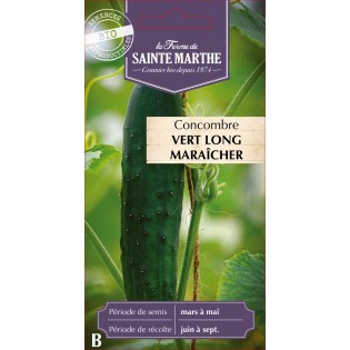 CONCOMBRE VERT LONG MARAICHER BIO