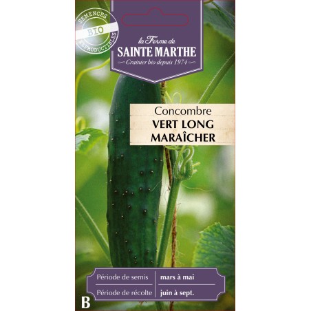 CONCOMBRE VERT LONG MARAICHER BIO