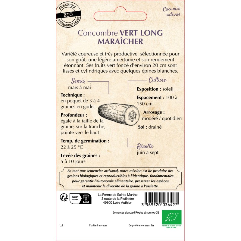 CONCOMBRE VERT LONG MARAICHER BIO